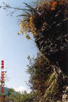 £»^mʢ_(ki)ݮz