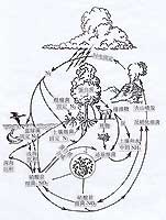 生態(tài)系統(tǒng)氮循環(huán)示意圖
