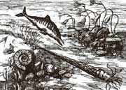 生機勃勃的原始海洋生物