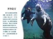 海牛渾身都是寶