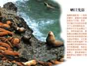 曬日光浴