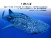 廣泛的用途