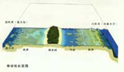 珊瑚島地質剖面示意圖