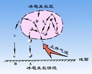 L(zhng)r 