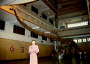 馬門溪龍